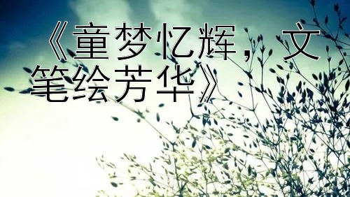 《童梦忆辉，文笔绘芳华》